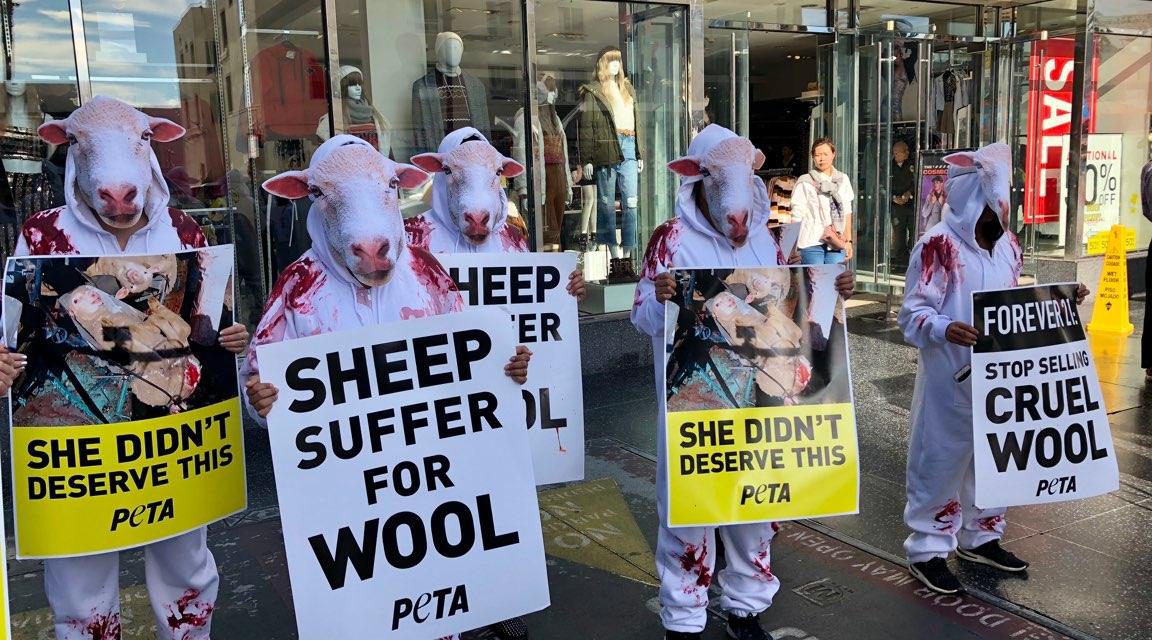 PETA Protests