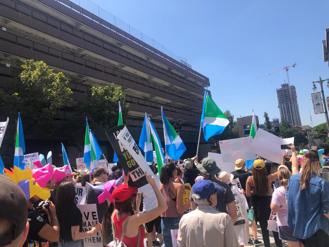 marchers with vegan flag